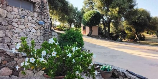 ID 1343 – VILLA IN SARDEGNA